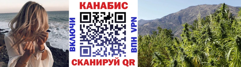 где найти Вилючинск Бошки марихуана Amnesia